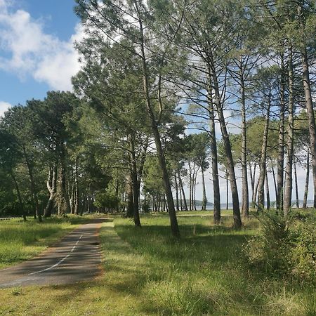 Appartements Au Coeur Du Golf, Proche Du Lac Et Velodyssee 比斯卡罗斯 外观 照片