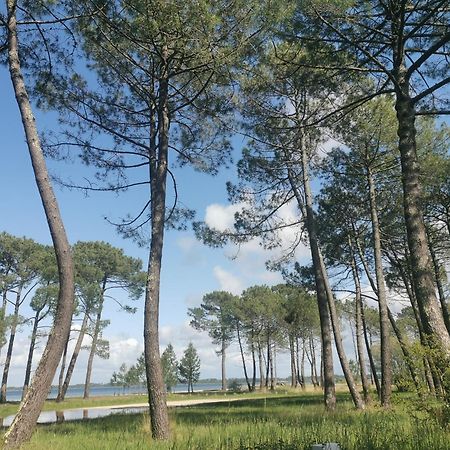 Appartements Au Coeur Du Golf, Proche Du Lac Et Velodyssee 比斯卡罗斯 外观 照片