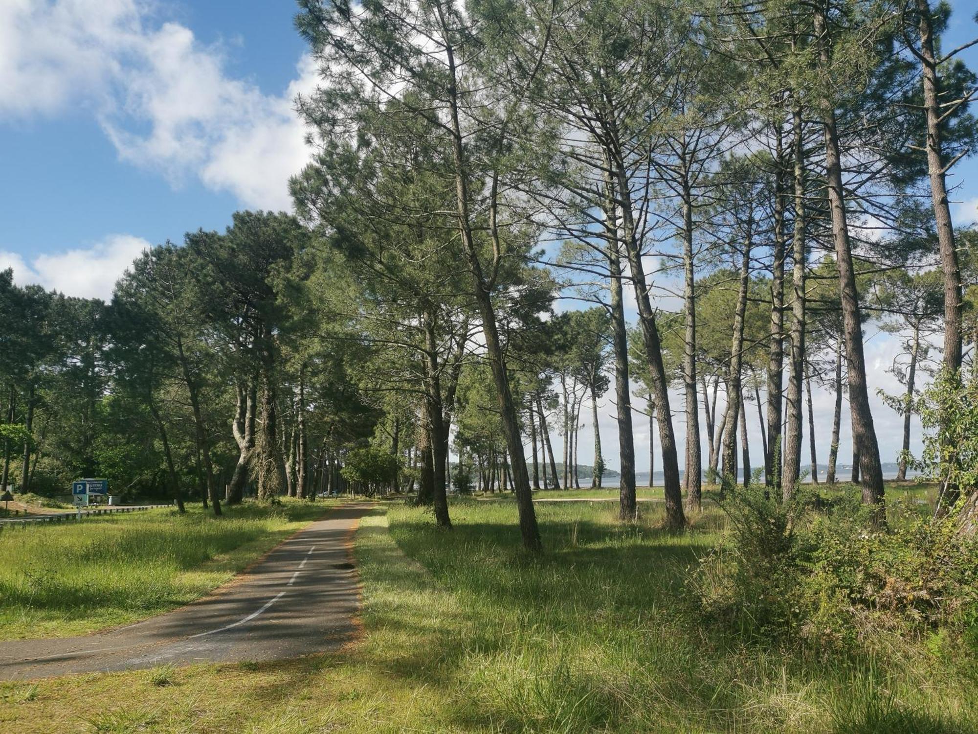 Appartements Au Coeur Du Golf, Proche Du Lac Et Velodyssee 比斯卡罗斯 外观 照片